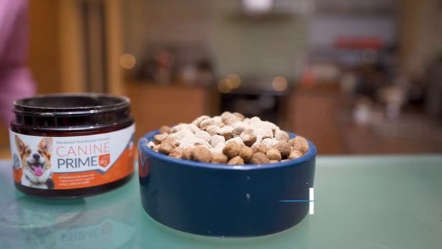 Canine Prime | Your Pet Nutrition смотреть онлайн