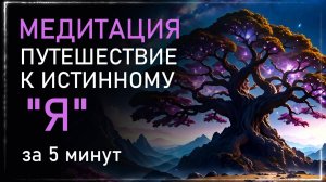 МЕДИТАЦИЯ Путешествие к Истинному Я: Просветление за 5 минут. Альбасавуа