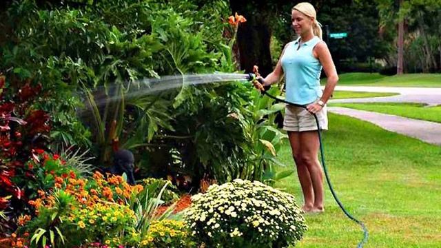 К дождю. Автор: Светлана Пожар смотреть онлайн