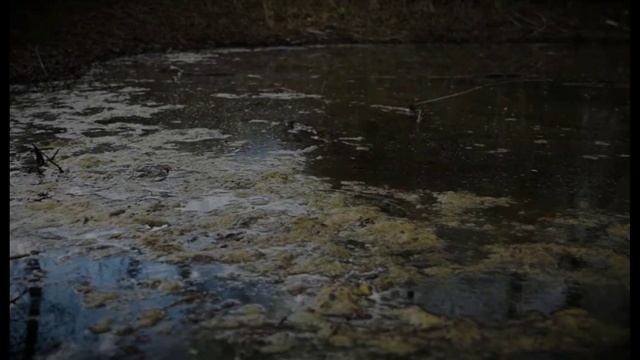 Одержимый Стихи Николая Гумилева Музыка и исполнение Владимир Черняев смотреть онлайн