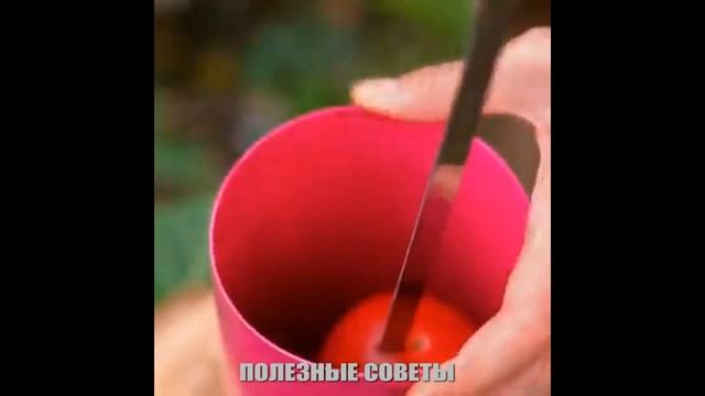Топ лайфхаки смотреть онлайн