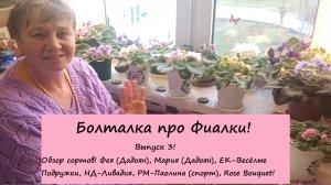 Болталка про Фиалки! Выпуск 3: Обзор сортов! Фея (Дадоян), Мария (Дадоян), ЕК-Весёлые Подружки!