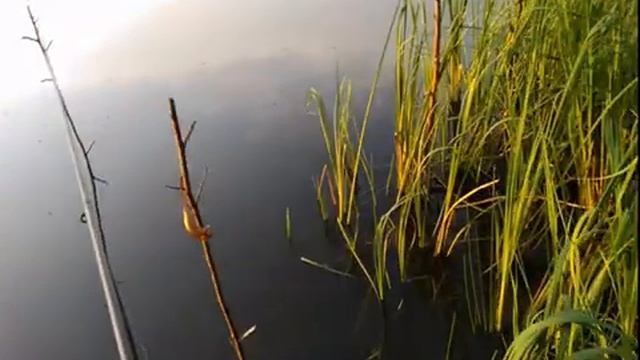 озеро надежды