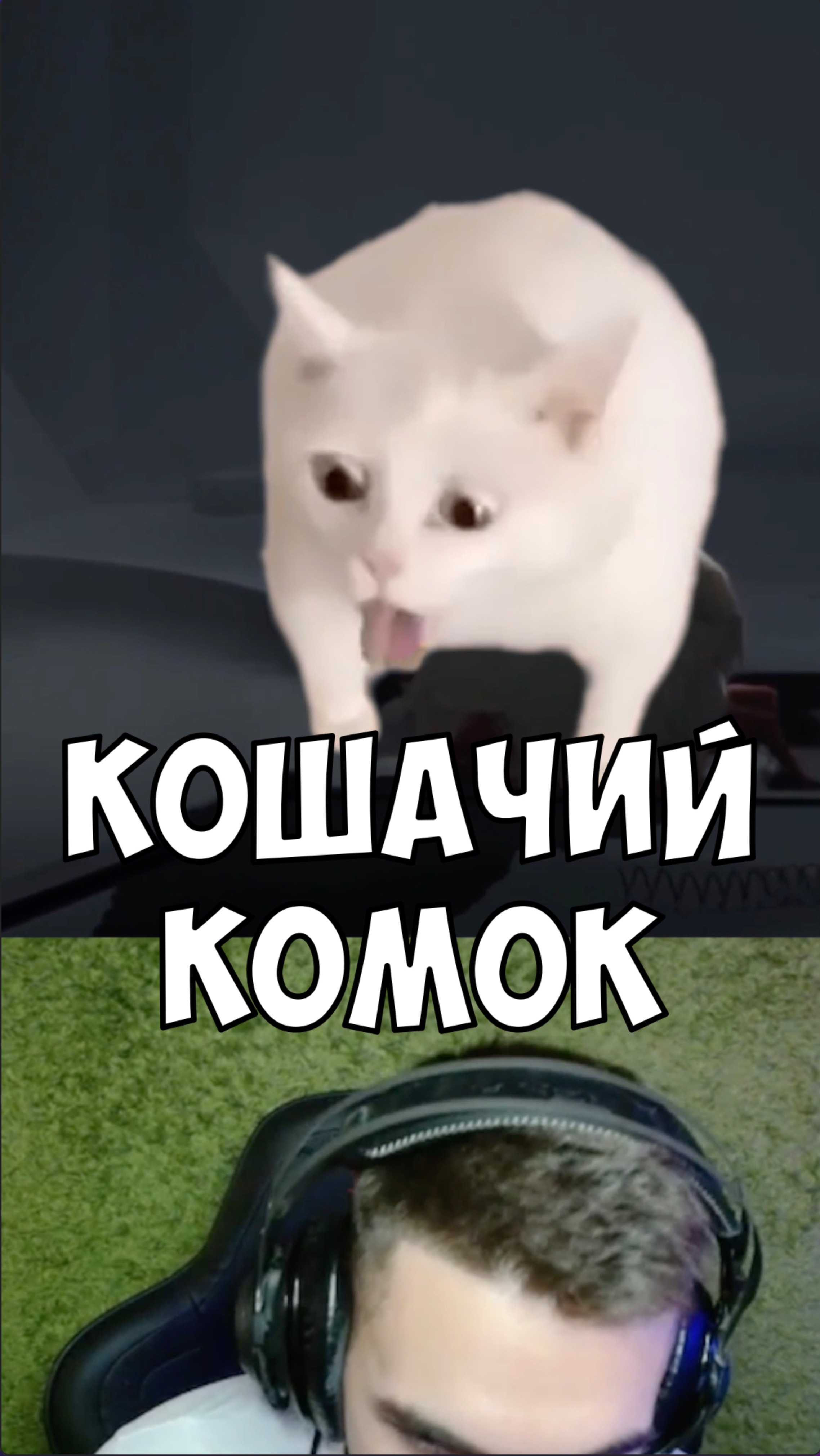 Подпишись на тг канал: Snerkinfo смотреть онлайн