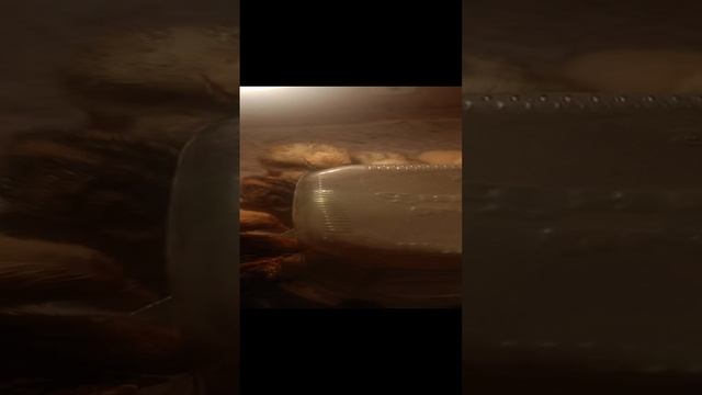 1000018160.mp4