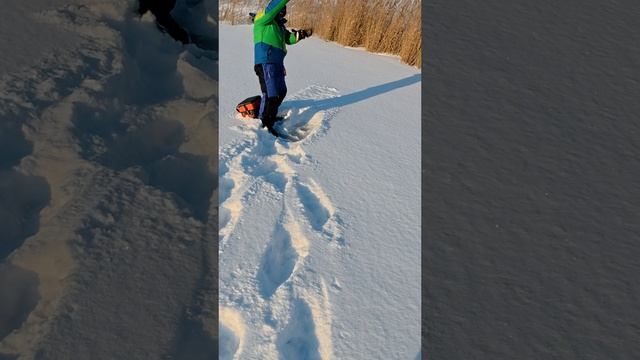 Зимняя рыбалка 2024 смотреть онлайн