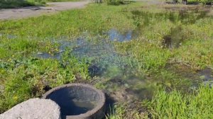 Вода течёт уже больше двух недель, вытекает на Поливенское шоссе и течёт в сторону Поливно
