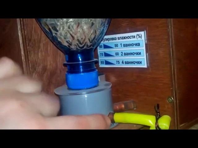 Инкубатор БЛИЦ 120 цифровой смотреть онлайн