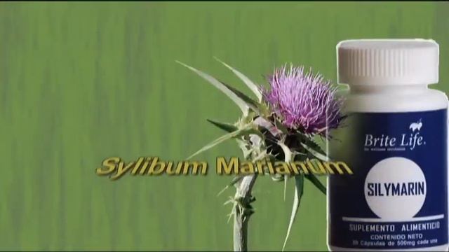 Silymarin BriteLife смотреть онлайн