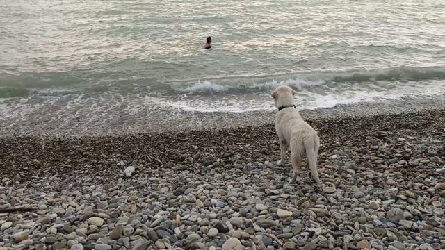 Преодоление волн смотреть онлайн