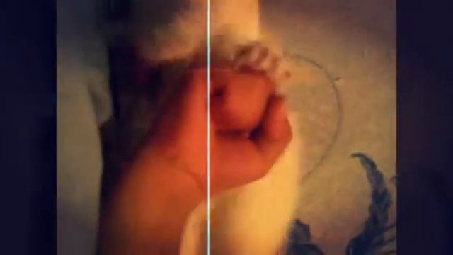 София прекрасная 💖💖💖 смотреть онлайн