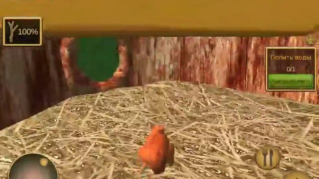 Ангелина играет в симулятор белки. смотреть онлайн