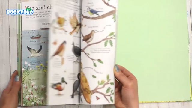 Big Picture Book Outdoors Usborne смотреть онлайн