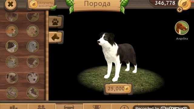 Dog Sim Online #2\ качаюсь в Дог сим