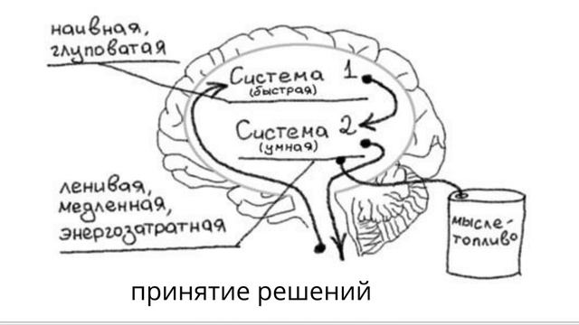 Мышление в крайностях  Влияние дихотомии на нашу жизнь