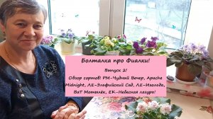Болталка про Фиалки. Выпуск 2: Обзор сортов! РМ-Чудный Вечер, Apache Midnight, ЛЕ-Эльфийский Сад!