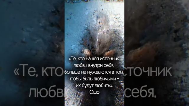 Те, кто нашел источник любви.., смотреть онлайн