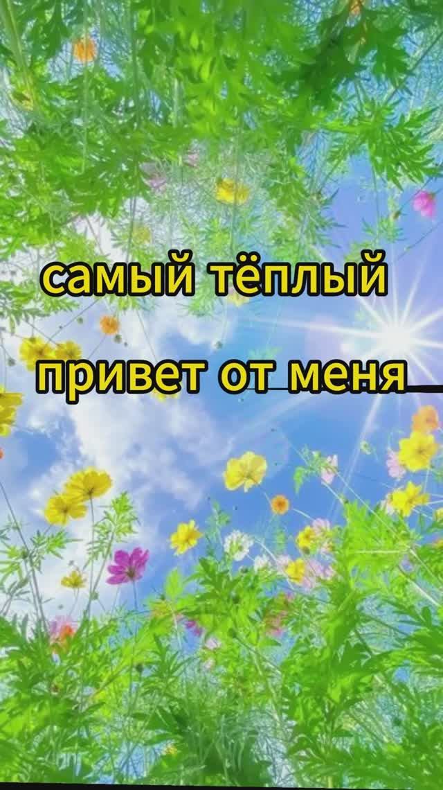 Светлана Аверочкина - Живите, любите! смотреть онлайн