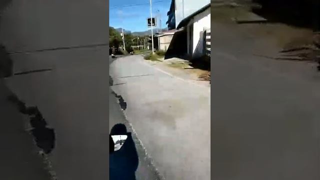 gala muna.. смотреть онлайн