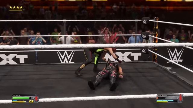 NXT TAKEOVER XXX PLE смотреть онлайн