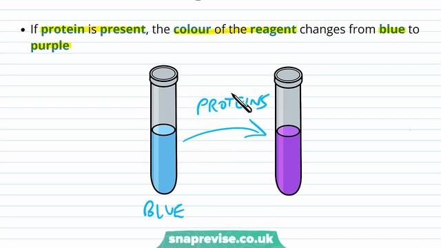 Protein & Lipids Tests: Biuret & Emulsion Test | A-level Biology | OCR, AQA, Edexcel смотреть онлайн