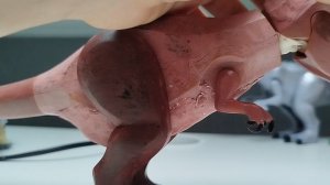 тарбозавр/рекси из франшизы мир юрского периода