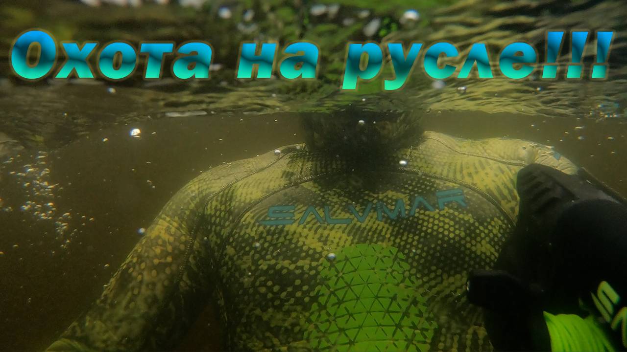 ДА СКОЛЬКО ЗДЕСЬ СУДАКА!!! ПОДВОДНАЯ ОХОТА НА РУСЛЕ ЗАТОПЛЕННОЙ РЕКИ!!! смотреть онлайн