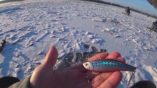 Камешок р.Обь 29.11.2023