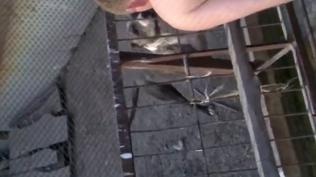 стаффорда травит под "градусом" смотреть онлайн