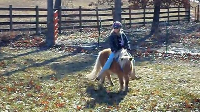 Alisa riding charmer смотреть онлайн