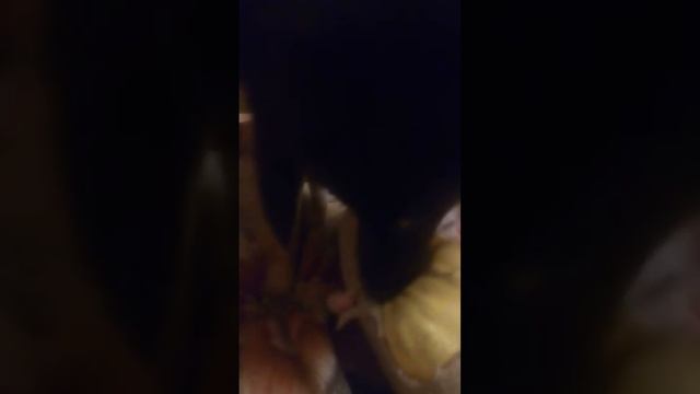 вейтик рвет подушку смотреть онлайн