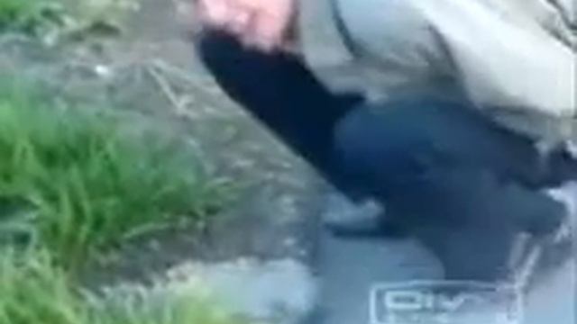 Все блюют!!!