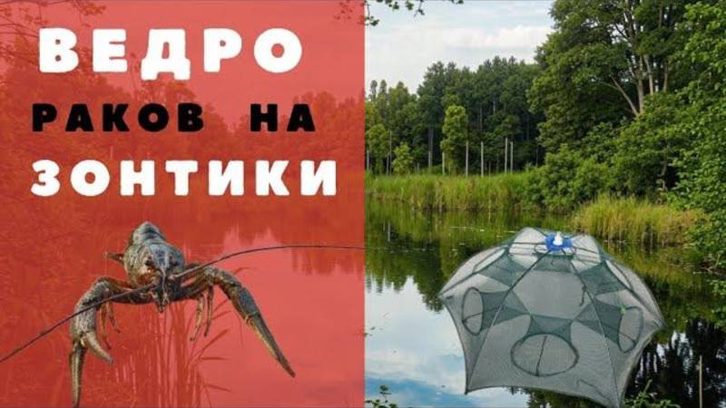 Местные рассказали на что ловить рака, в этом пруду. Как приготовить рака. Ловля раков на раколовки. смотреть онлайн