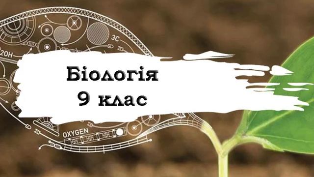 Біологія. 9 клас. 4 смотреть онлайн