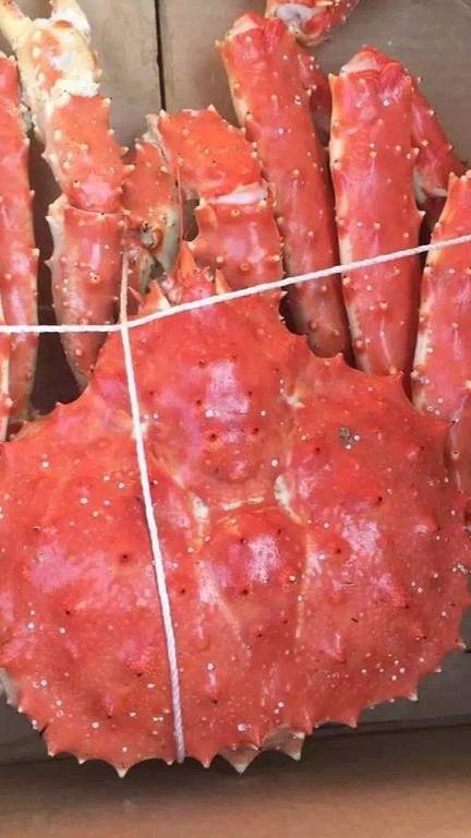 Гигантского краба размером с автомобиль заметили во Владивостоке😂🤣😁✌✌