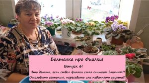 Болталка про Фиалки! Выпуск 6: Что делать, если ствол фиалки стал слишком длинным?!