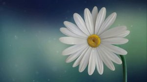 Саблиминал для Женщин_Красивое и Молодое Лицо_Сияющая кожа.mp4