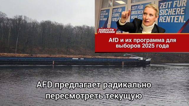 AfD и их программа для выборов 2025 года: радикальные изменения в политике