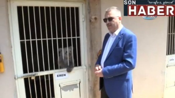 Karacabey, yavru ayıya sahip çıktı sonhaber.im