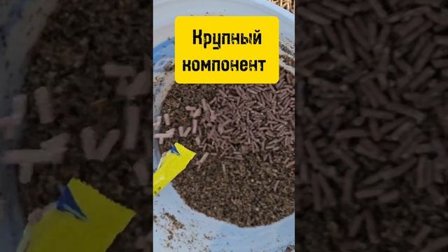Рабочая прикормка #carp #сазан #карась #прикормка #рыбалка #fishing #реки #советы #улов смотреть онлайн