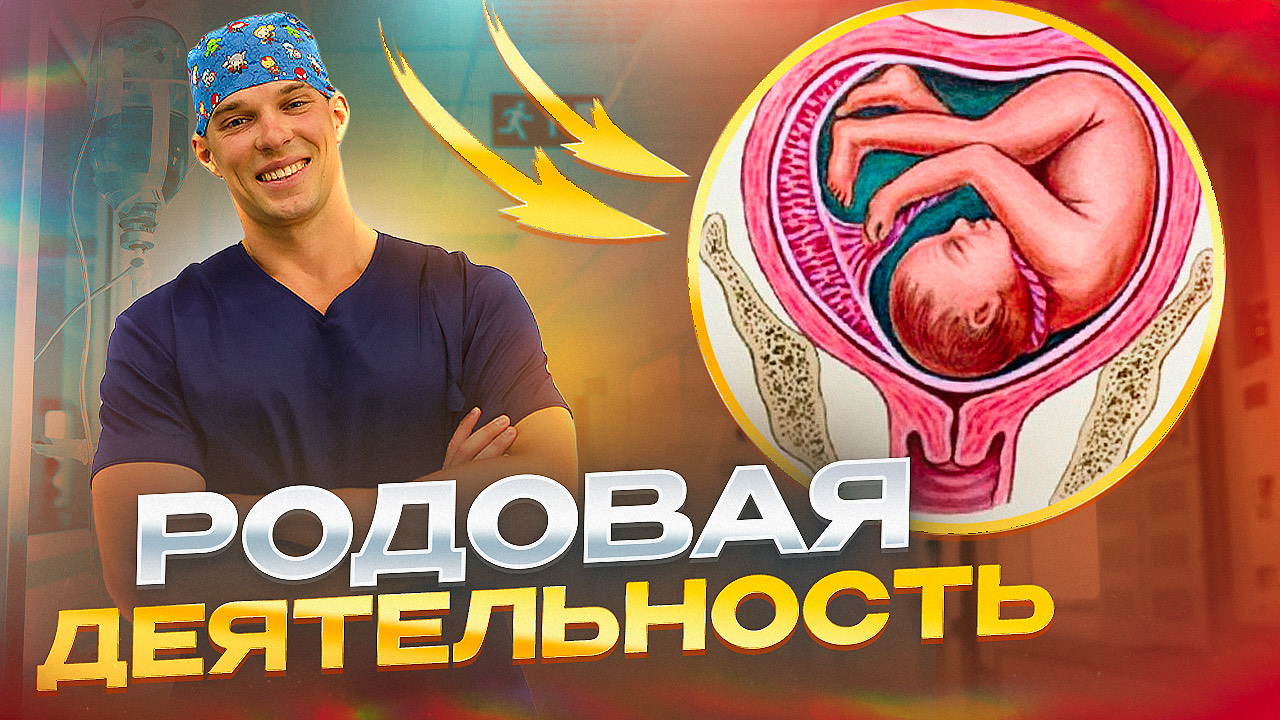 Физиология и периоды родов. Схватки. смотреть онлайн