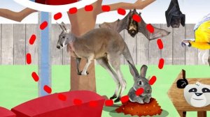 Power Up 2_ Unit 5_Animal world_02 Chant_ page 57 ex 2