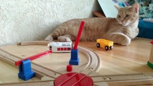 Мультик про поезда и машинки - Регулируем переезд - Мультик игра - Brio Trains video