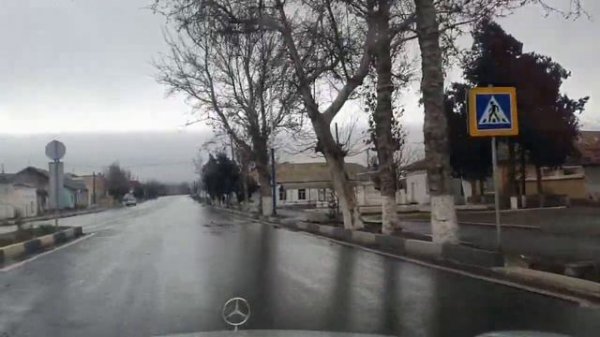 Конибодом 2022