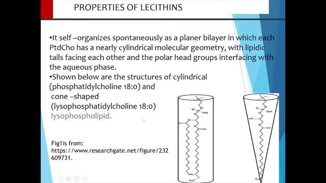 MEMBRANE LIPIDS PART 2 смотреть онлайн