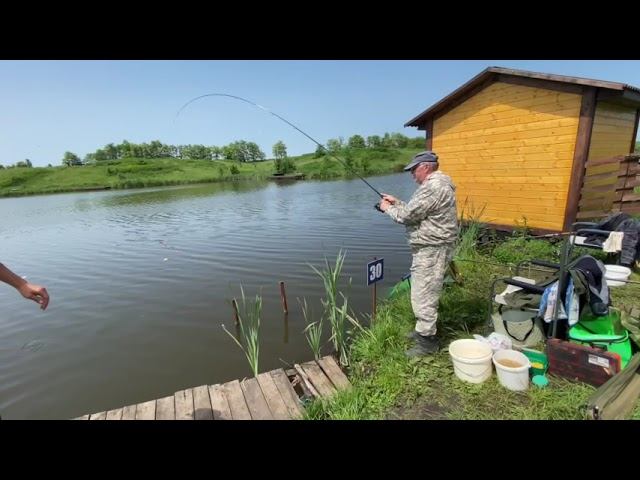 video 28 05 23 02 28 смотреть онлайн