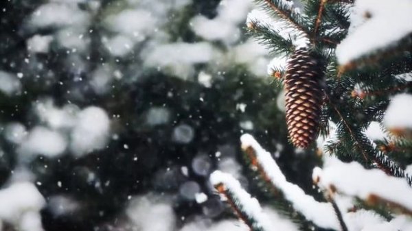 Песенка о хорошем настроении из кинофильма "Карнавальная ночь"