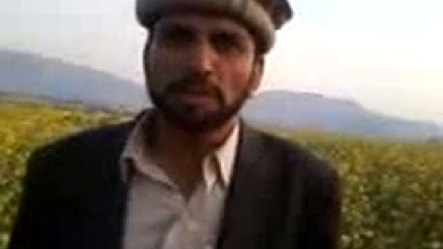 Rustam King Of The World.mp4 смотреть онлайн