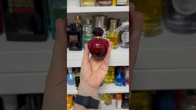 Ароматная неделя 2.12-8.12.2024 #ароматы #парфюмерия #духи #рекомендации #рек #парфюм #топ #short смотреть онлайн