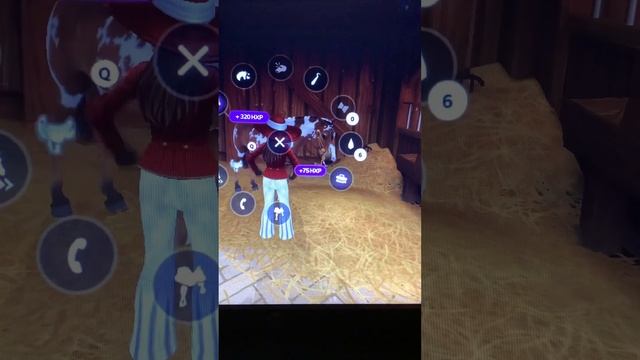 Buying A New Mustang,star Stable Online